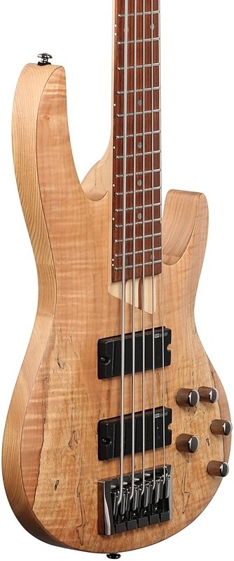 ESP LTD B205SM Electric Bass, 5-String, Natural Satin, Full Left Front