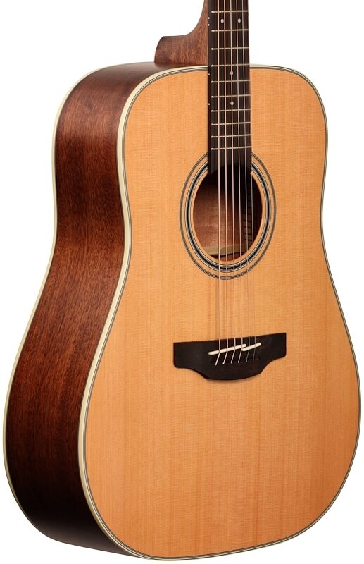 Takamine GD20 Dreadnought Acoustic Guitar, Natural, Full Left Front