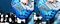 Image thumbnail 15 of 16